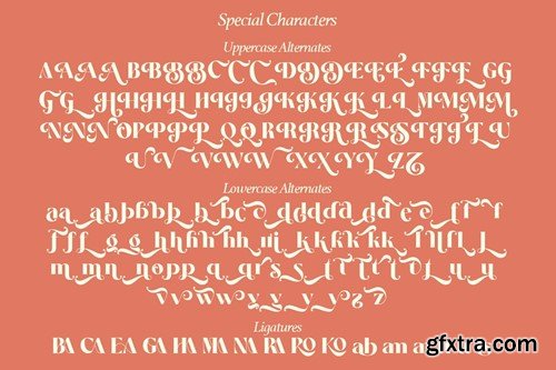 Salitia - Modern Serif Family CVS7MEJ