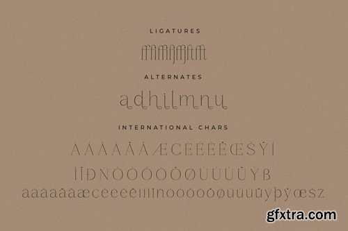 Gestiva Elegant Modern Serif Font UMHLB6Q