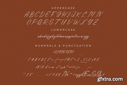 Bithodina Modern Brush Font R3EA47G