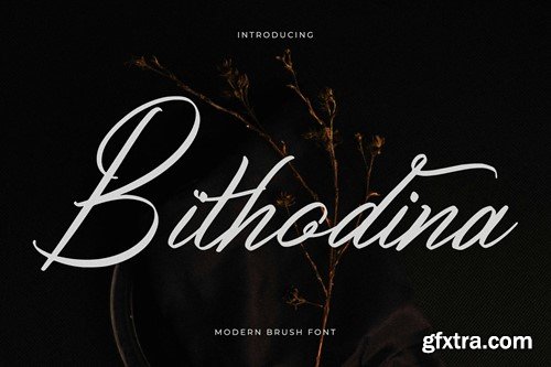 Bithodina Modern Brush Font R3EA47G