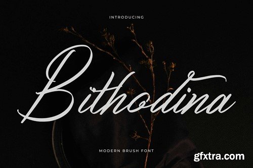 Bithodina Modern Brush Font R3EA47G