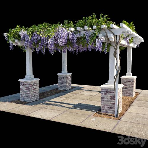 Pergola with Wisteria (Pergola with Wisteria)