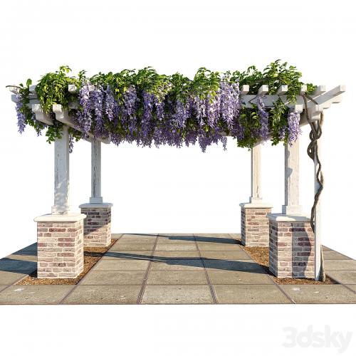 Pergola with Wisteria (Pergola with Wisteria)