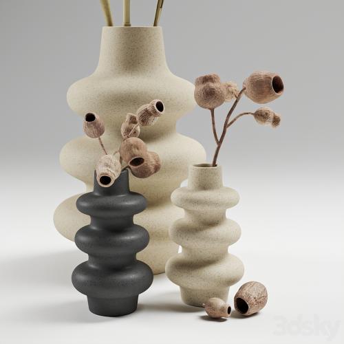 Vases with dried plants