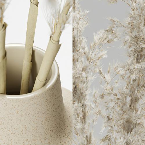 Vases with dried plants