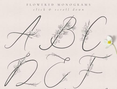 Flowered Monograms, Handwritten Uppercase Alphabet