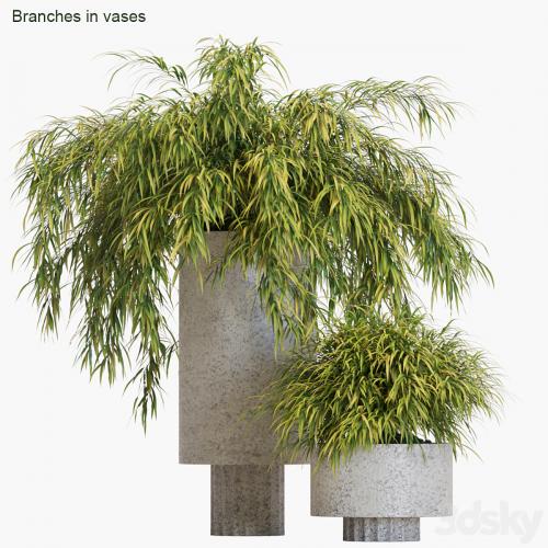 Branches in vases # 14: Hakonechloa