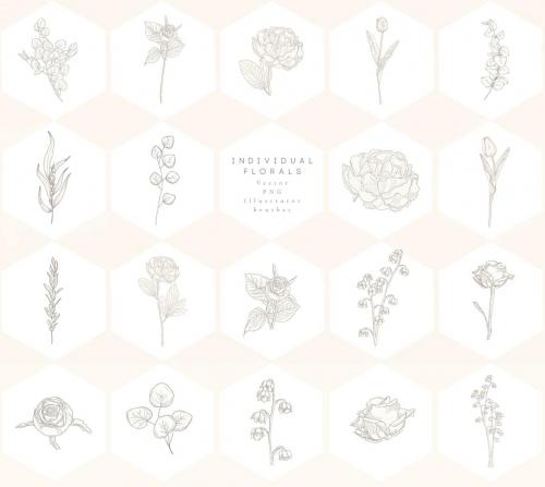 New Brand Collection Floral Graphics