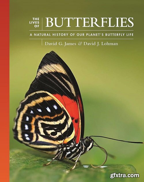 The Lives of Butterflies: A Natural History of Our Planet\'s Butterfly Life