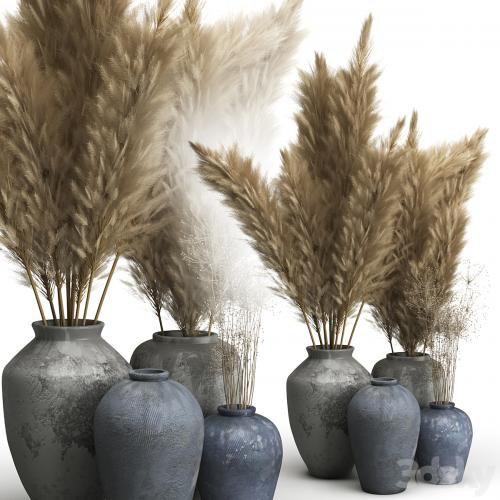 Decorative set of Clay Vases and Pampas Grass