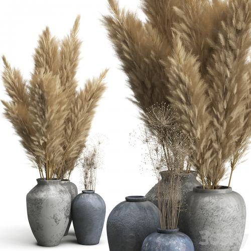 Decorative set of Clay Vases and Pampas Grass