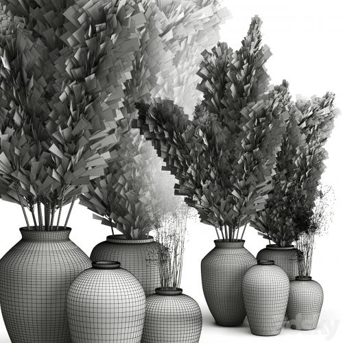 Decorative set of Clay Vases and Pampas Grass