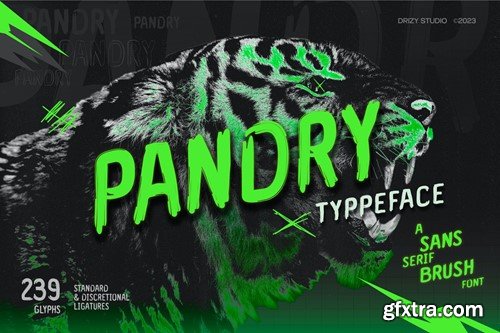 Pandry - Sans Serif Brush Font CRL6N9F