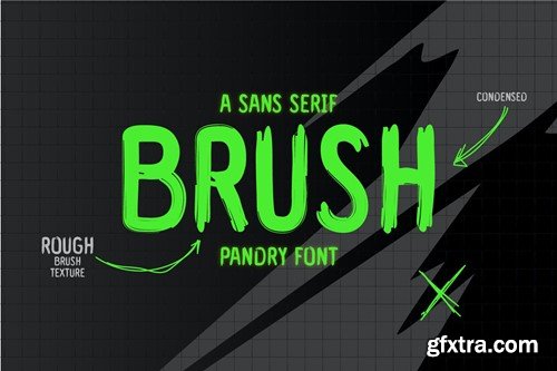 Pandry - Sans Serif Brush Font CRL6N9F