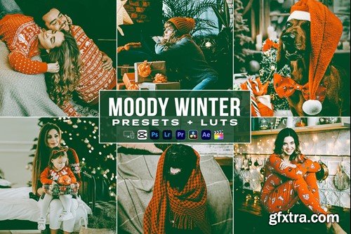 Moody Winter Luts + Presets Mobile & Desctop ME3RGW2