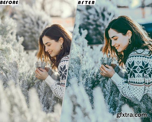 Cozy Holiday Video Luts Presets Mobile & Desctop W5RBQW7