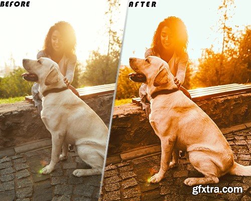 Golden Hour Video Luts Presets Mobile & Desctop ZW3DBY3