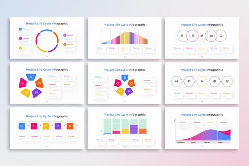 Project Life Cycle PowerPoint Infographic Template