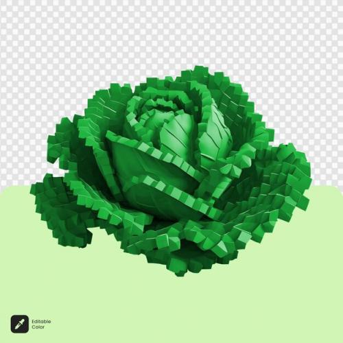 3d Cabbage Voxel Art Isolated