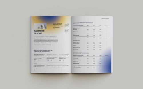 Annual Report Modern Blur