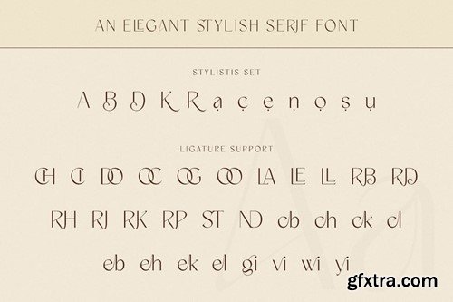 The Alliance - Elegant Serif Font 8EZ2AE3