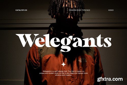 Welegants Modern Serif Typeface Font JPJVW7N