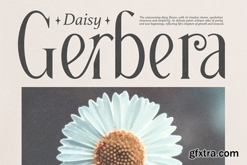 Grading - Modern Elegant Serif DRTLG2P