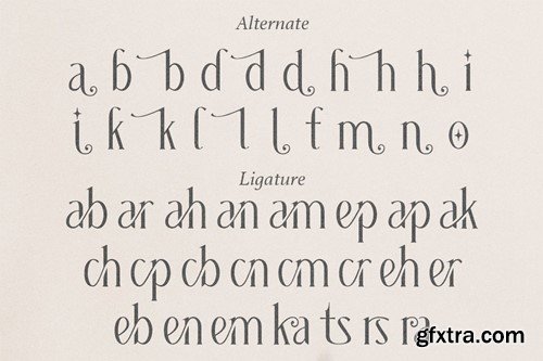 Grading - Modern Elegant Serif DRTLG2P