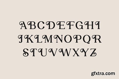 Retroversion Classic Retro Serif Font GJZP4VS