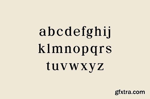 Retroversion Classic Retro Serif Font GJZP4VS