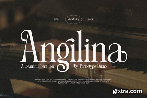 Angilina Elegant Serif Font Typeface WSYXZJP