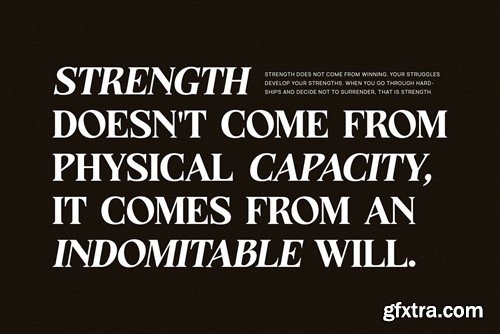 Strong Elegant Serif Font Typeface S4RPW76