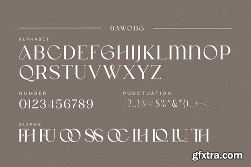 Worath Elegant Serif Font Typeface N243K95