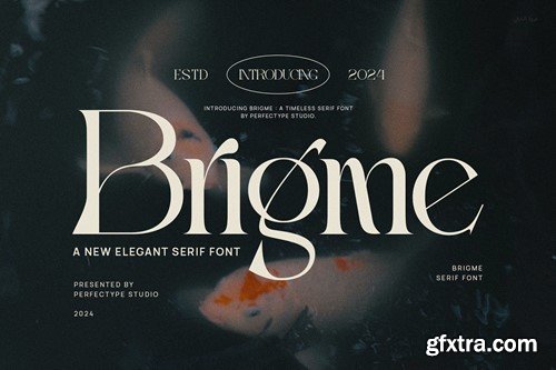 Brigme Elegant Ligature Serif Font Typeface DSR5RHS