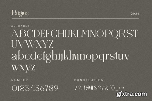 Brigme Elegant Ligature Serif Font Typeface DSR5RHS