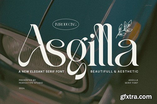 Asgille Elegant Ligature Serif Font Typeface 4GQAYH9