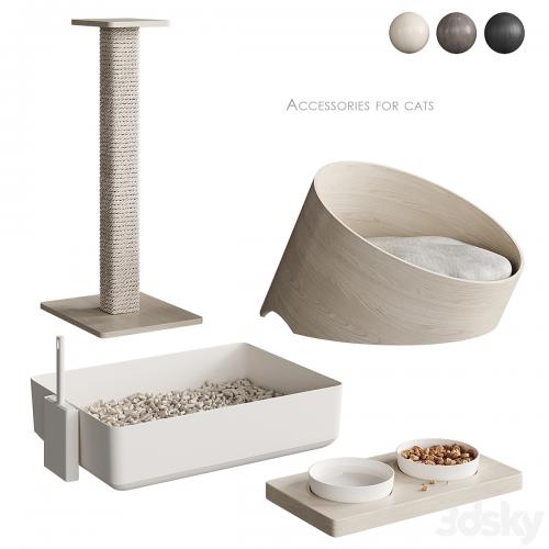 Accessories for cats NG1