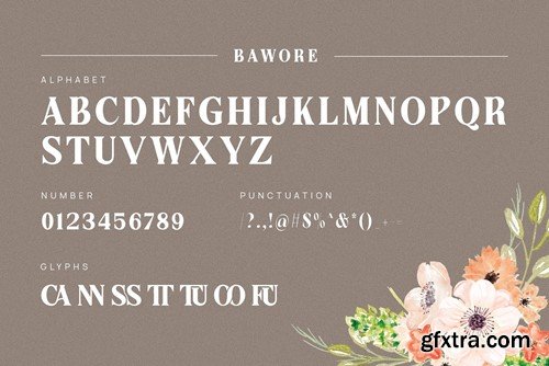 Butter Elegant Serif Font Typeface 6344EYN