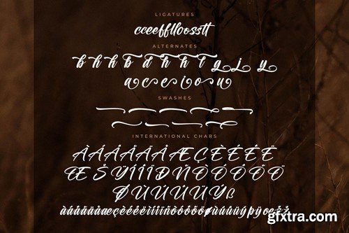 Malbonte Blackwell Modern Calligraphy Font V7SHSXU