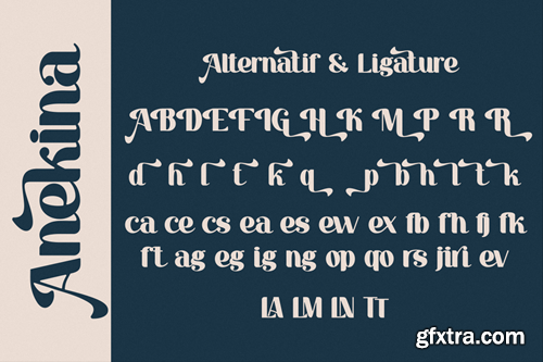 Anekina - Bold Modern Font A45RPZC