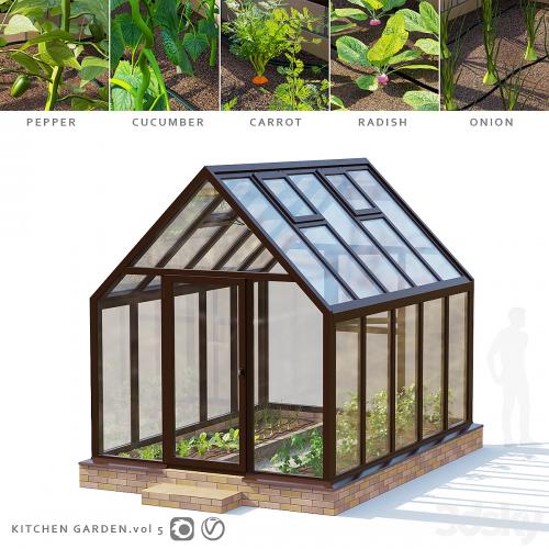 Garden. Greenhouse 