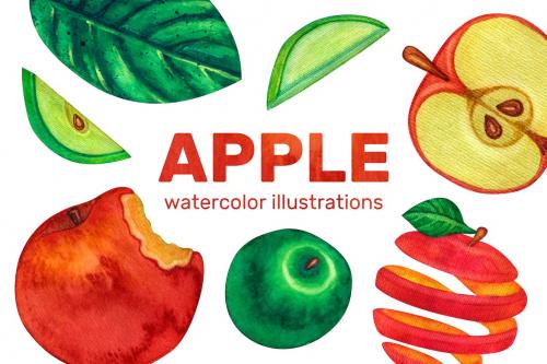 Apple - Watercolor Illustrations