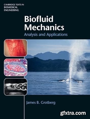 Biofluid Mechanics: Analysis and Applications