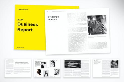 Business Report