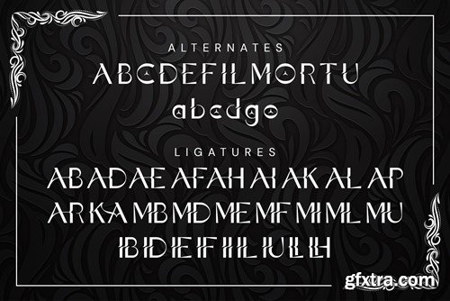 Talika Sans Serif Font LFTENGL