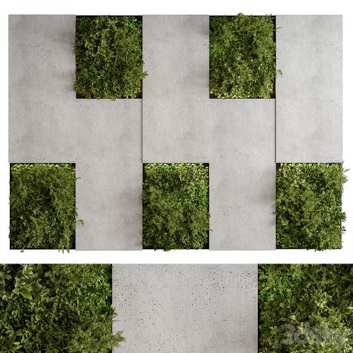 Vertical Garden - Green Wall 77