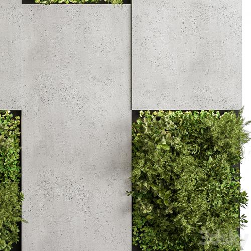 Vertical Garden - Green Wall 77