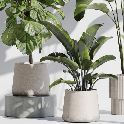 indoor plant set 67