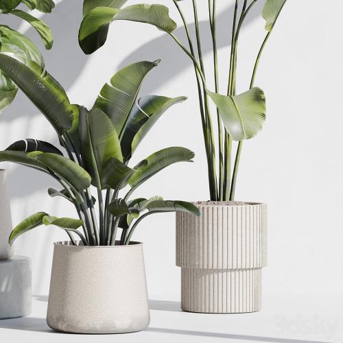 indoor plant set 67