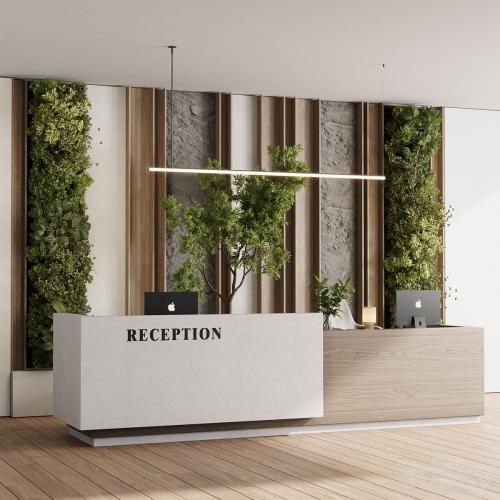 Reception Desk and Wall decor - office furniture 22 vray